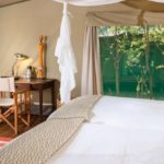 Ongava Tented Camp, Etosha National Park