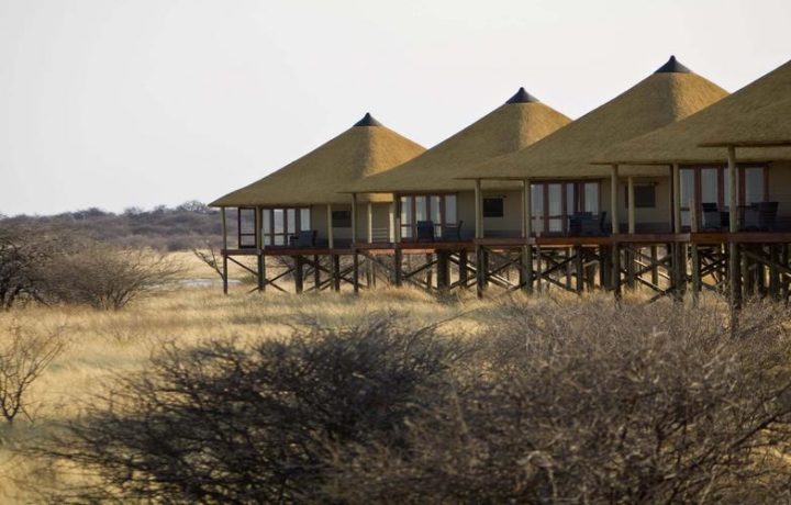 Onkoshi Camp