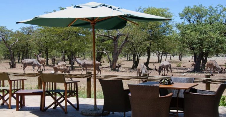Ongava tented camp