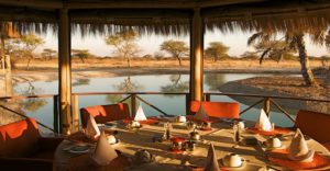 Onguma bush camp