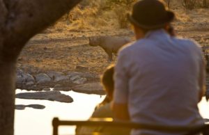 Halali Camp in Etosha