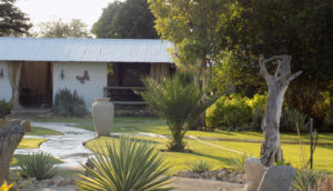 Etosha National Park Accommodation at Eldorado Guesthouse and Camping - Grounds