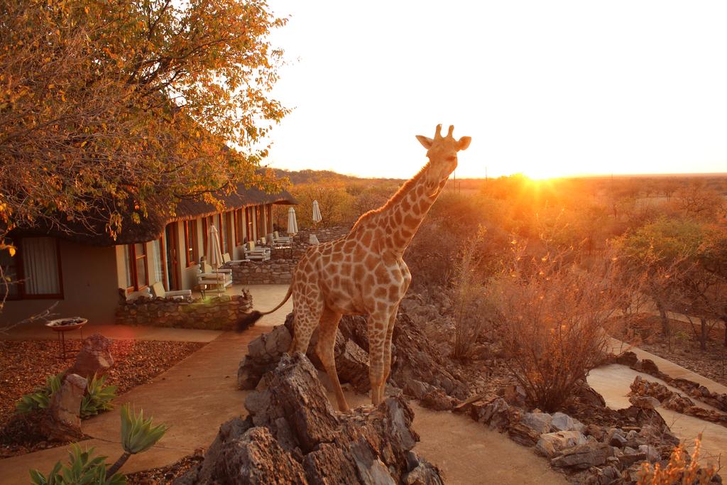 Okutala Etosha Lodge Rates