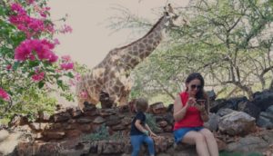 Okutala Lodge Etosha National Park