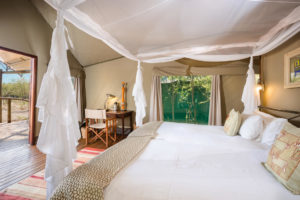 Ongava Tented Camp, Etosha National Park