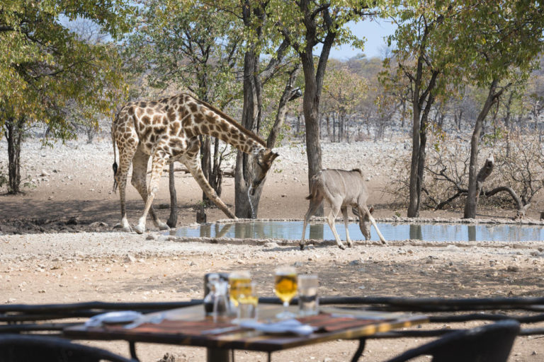Ongava near Etosha National Park