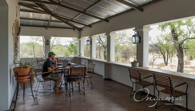 Onguma Campsite Restaurant, Etosha National Park