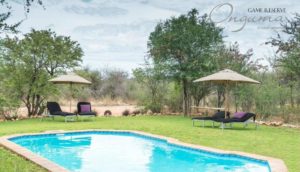 Etosha National Park camping at its fines