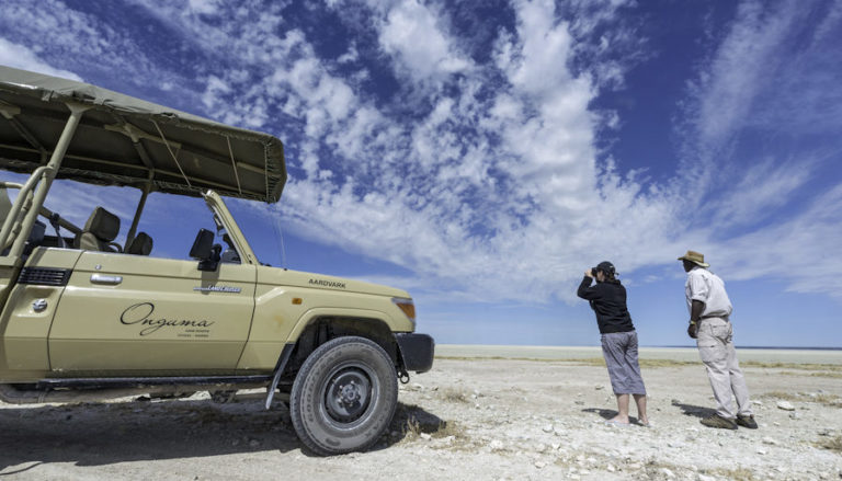 Onguma Game Reserve Drives