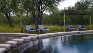 Mushara Bush Camp Swimming Pool