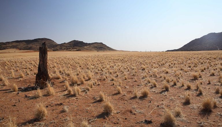 Sossusvlei photo