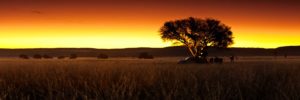 Sesriem Campsite in the Namib-Naukluft Reserve