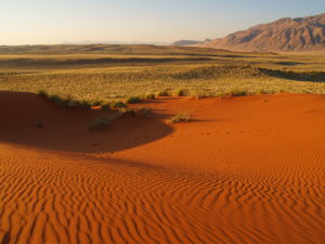 Namib-Naukluft National ParkNamib-Naukluft National Park