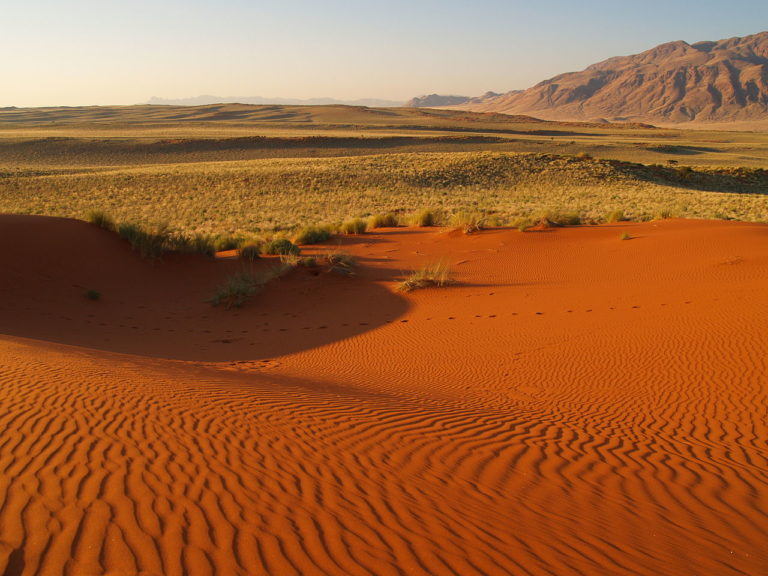 Namib-Naukluft National ParkNamib-Naukluft National Park