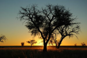 Namib-Naukluft National Park Sunset