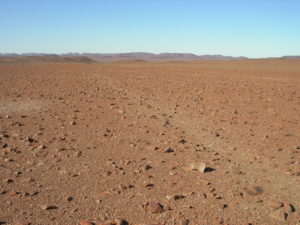 Namib Skeleton Coast