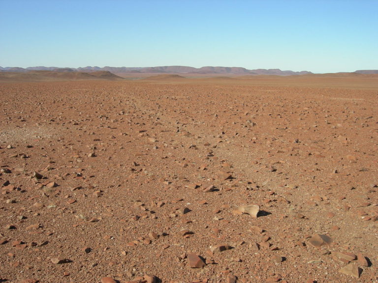 Namib Skeleton Coast