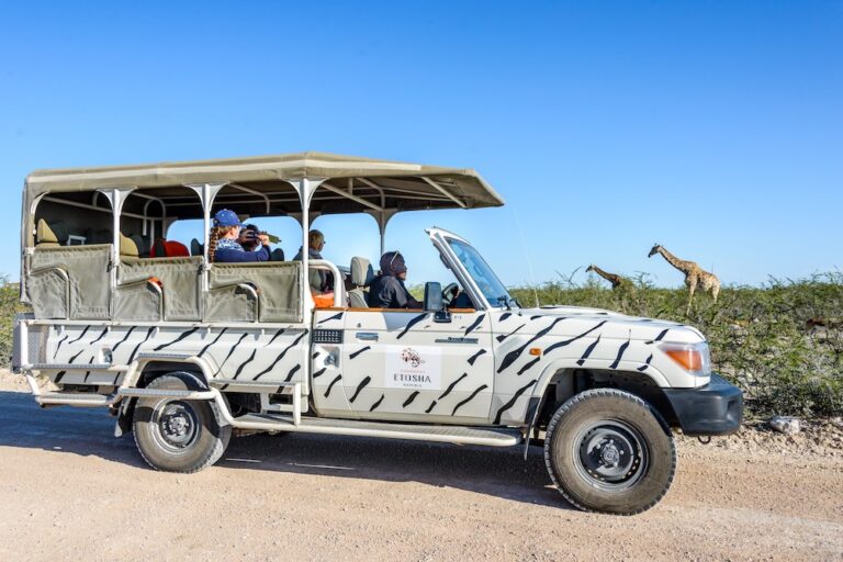Etosha Safari Camp