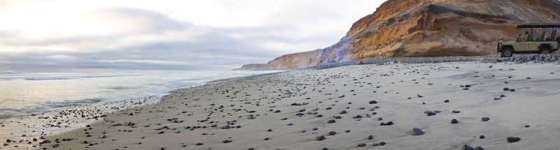 Skeleton Coast