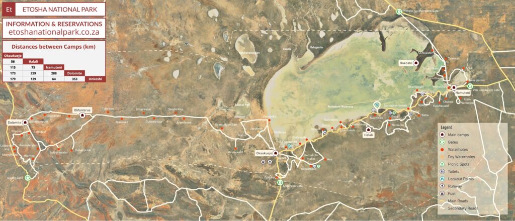 Detailed downloadable map of Etosha National Park